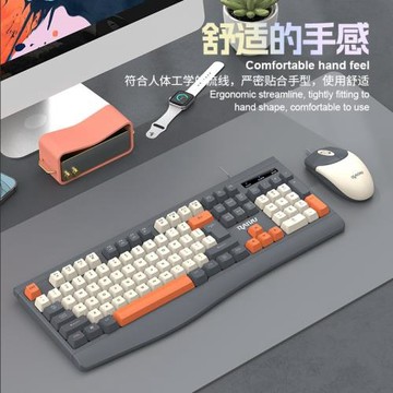 雷魁R903有線辦公商務鍵盤鼠標套裝臺式電腦筆記本時尚拼色鍵鼠套