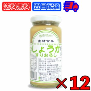 信州自然王国 環境栽培 国産しょうがすりおろし 150g ×12 無添加 生姜 しょうが ショウガ ジンジャー ginger すりおろし 冷奴 焼き茄子