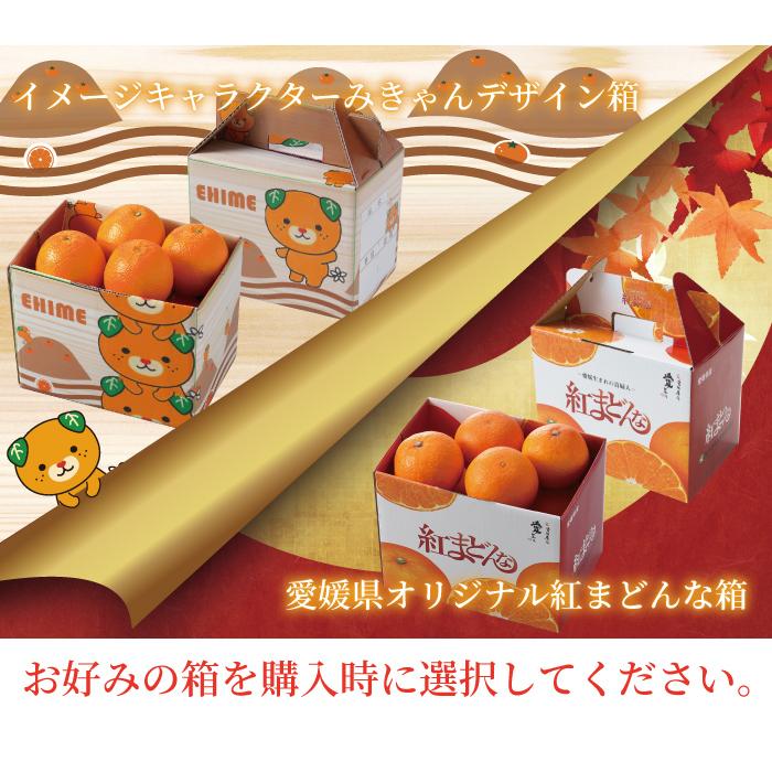 お歳暮 みかん 紅まどんな 赤秀 2L〜Mサイズ 1.5kg 6玉〜10玉 愛媛県産 JAえひめ中央 中島選果場 蜜柑 ミカン ギフト お取り寄せ