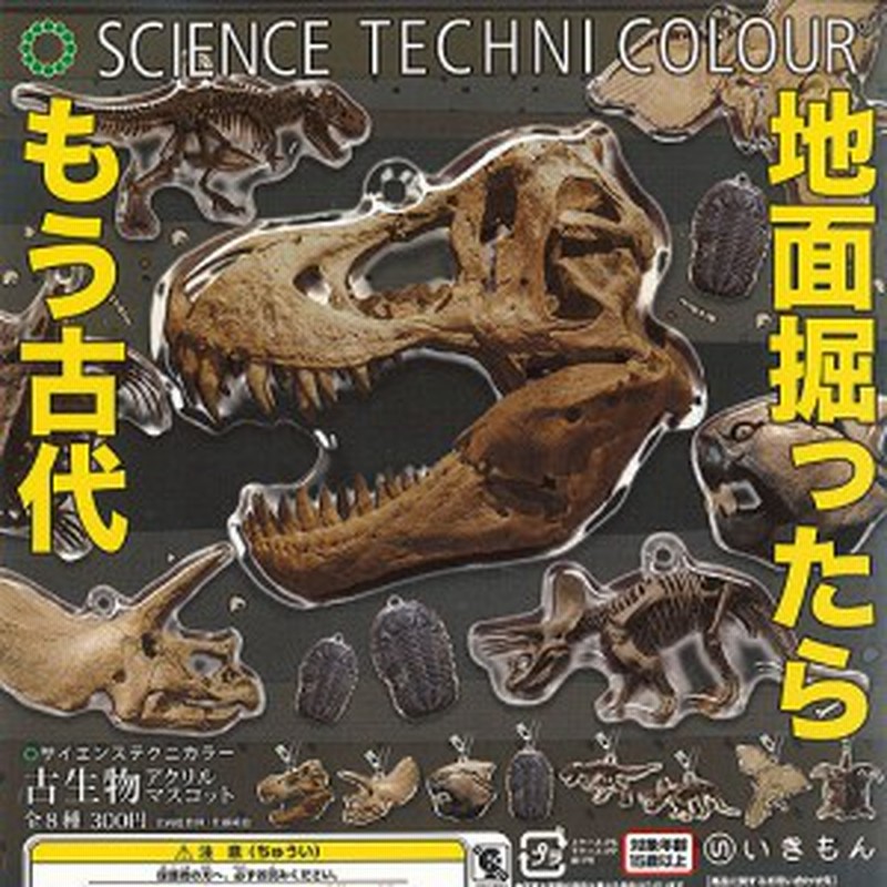 サイエンステクニカラー 古生物 アクリル マスコット 全8種セット いきもん ガチャポン ガチャガチャ ガシャポン 通販 Lineポイント最大1 0 Get Lineショッピング