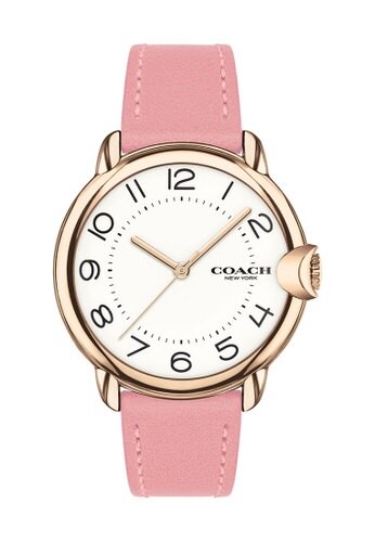 送禮首選★COACH 時尚淑女皮帶錶-36mm(14503608)  附提袋【全館滿額折價★APP下單點數4倍送】線上購買享_實體門市同步服務