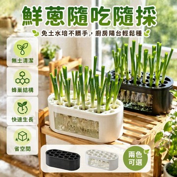 台灣出貨✨ 蔥花水培種植盒 免土水培套裝 快速收割 陽台窗台 家庭種植 簡約白
