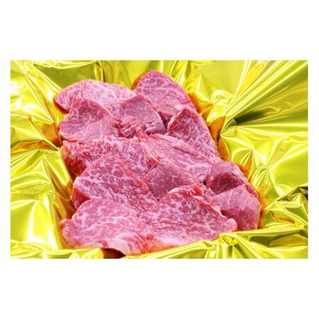 ふるさと納税 SS01　松阪牛　ヒレ　焼肉用　500ｇ　ギフト箱入り／（冷凍）瀬古食品　松阪肉　希少　名産　お取り寄せグルメ　三重県　大台町 三重県大台町