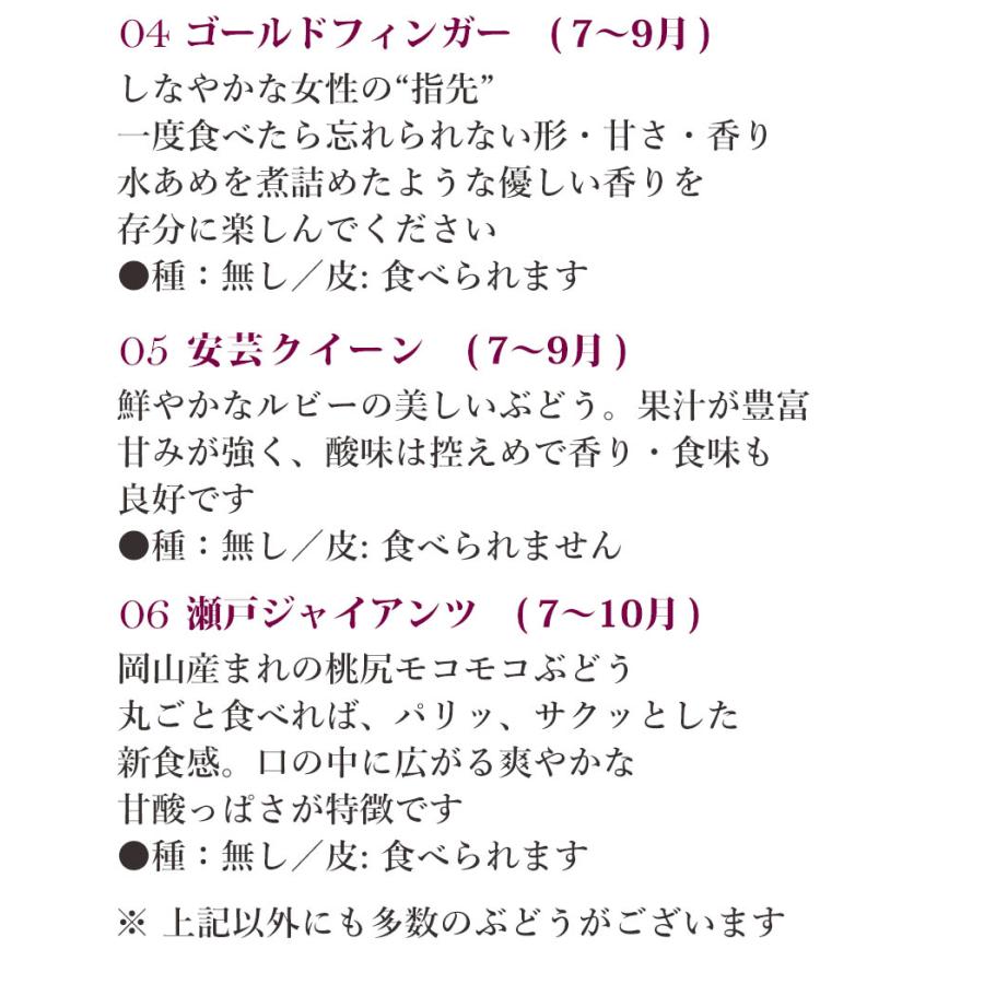 お中元 ぶどうの宝石箱 ヴェレゾンブランシュ 贈り物 送料無料 岡山 葡萄 シャインマスカット ピオーネ 桃太郎ぶどう 果物