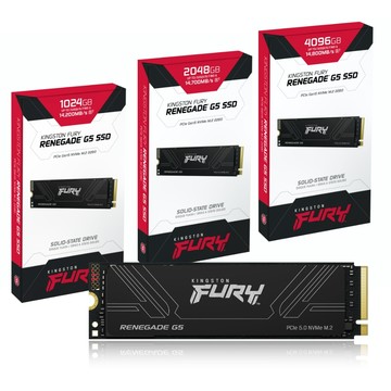 金士頓 Kingston FURY Renegade G5 PCIe 5.0 NVMe M.2 1TB/2TB/4TB