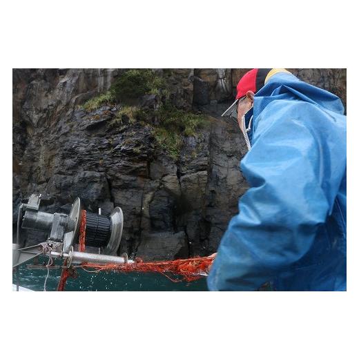 ふるさと納税 鹿児島県 三島村 伊勢海老