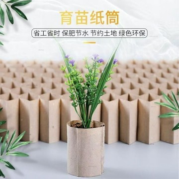 熱銷 育苗紙筒 育苗紙缽 蔬菜育苗蜂窩紙杯 西瓜紙筒 土豆紙筒 育苗盤 棉花筒 育苗器 園藝用品 園藝器具# c886t