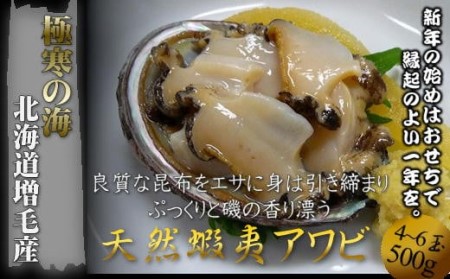 5-020-009　北海道増毛産天然蝦夷あわび500g（4～6玉）