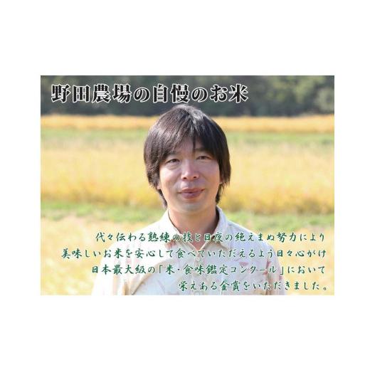 ふるさと納税 新潟県 佐渡市 新潟県佐渡産コシヒカリ20kg＜無洗米＞5kg×4