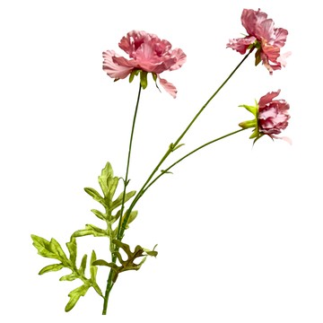 FLORAL M 仿真花 夏日森系小雛菊3朵 戴安娜粉 居家裝飾  1件