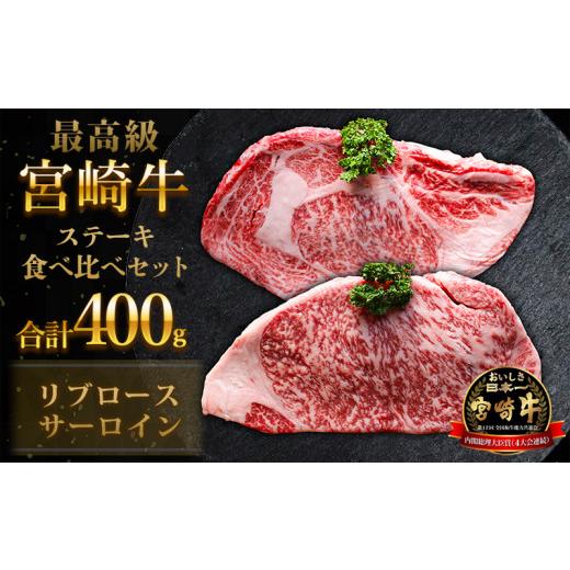 ふるさと納税 宮崎県 宮崎市 宮崎牛ステーキ食べ比べセット　合計400g（サーロインステーキ・リブロースステーキ×各200g）_M180-007