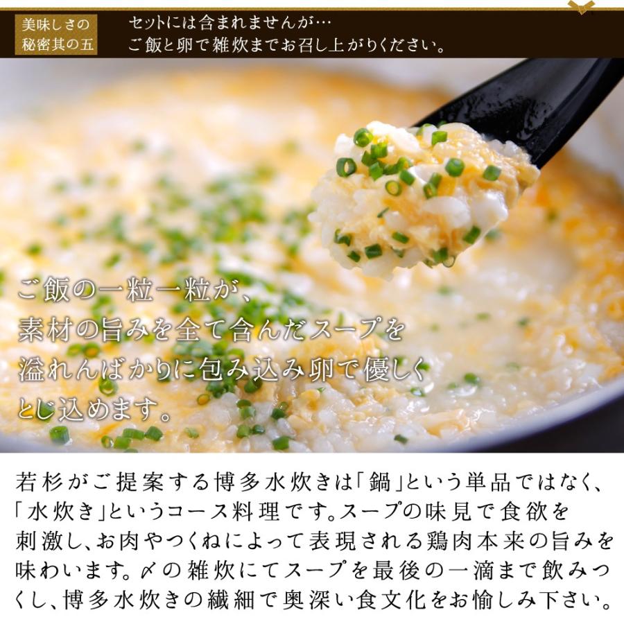 水炊き 水炊きセット （2〜3人前） みず炊き 水たき 鍋セット お取り寄せ鍋セット 博多 料理 惣菜 肉 博多若杉