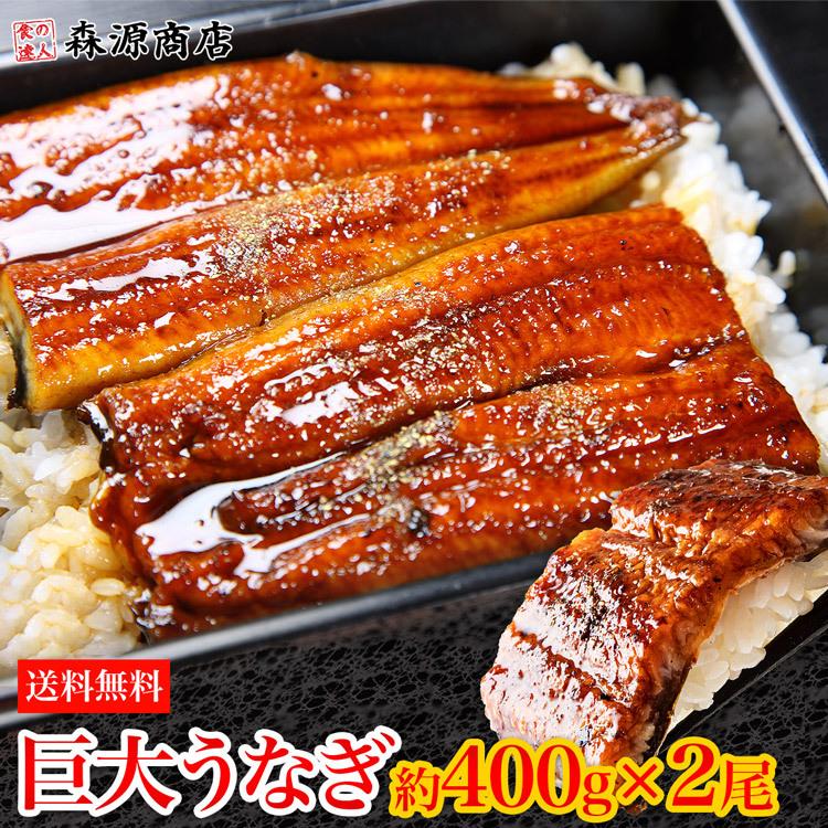 うなぎ 蒲焼き 鰻 約400g前後×2尾 2本 特大 巨大 ウナギ かば焼き タレ 冷凍便 ギフト お取り寄せ