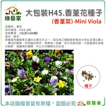 【綠藝家】大包裝H45.香堇花種子2克(約1600顆)