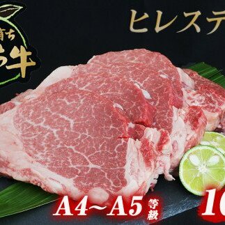 すだち牛黒毛和牛ヒレ 1kg