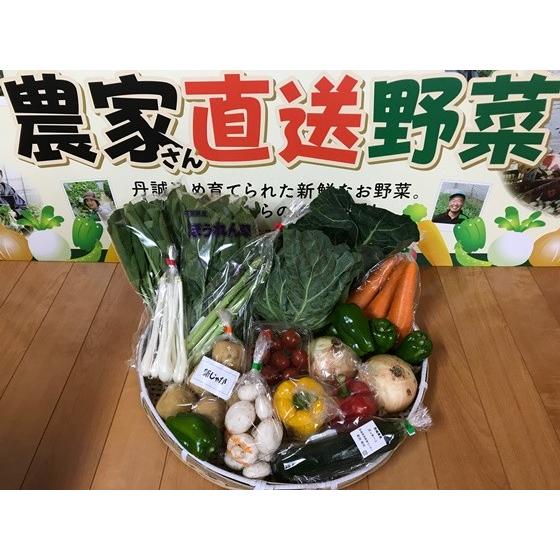 野菜セット 10品目以上 直送野菜 新鮮 採れたて 茨城県・千葉県産 農家さん 夏季クール便対応
