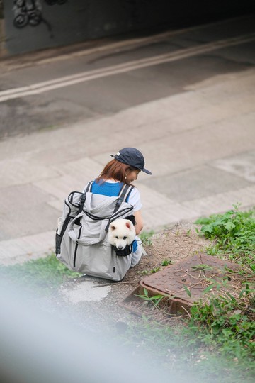LARGE Buddy Pack 超輕便寵物背包 2合1 側背袋 - 軍綠色