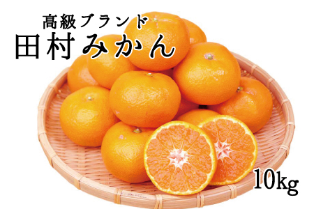 高級ブランド田村みかん　10kg※2023年11月下旬～2024年1月下旬頃に順次発送予定(お届け日指定不可)