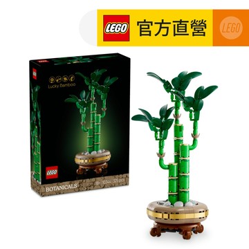Botanicals 10344 開運竹