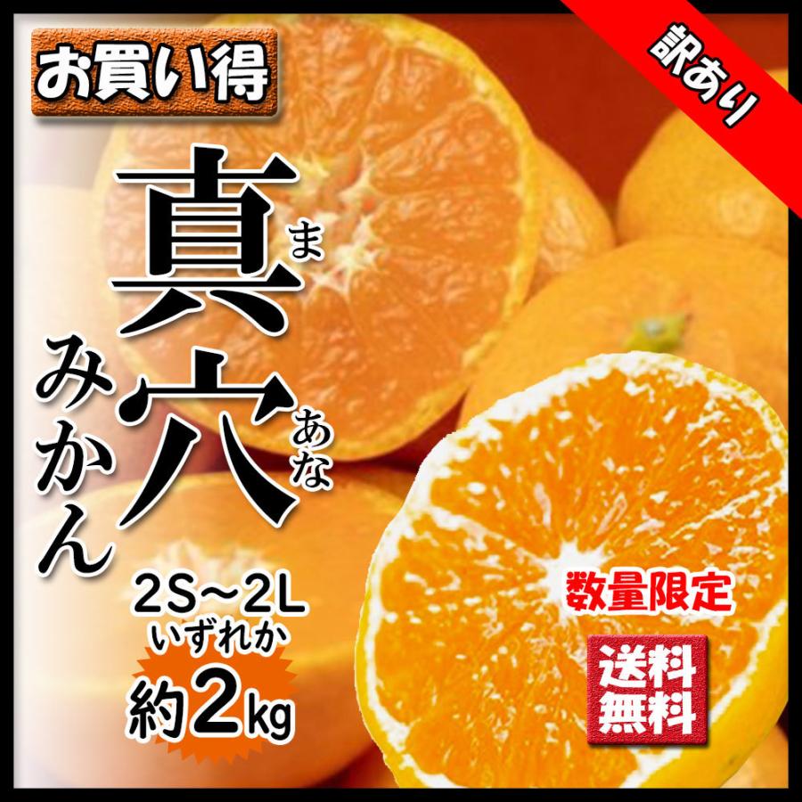 みかん 真穴みかん 訳あり 真穴 約2ｋｇ M〜2L いずれか 送料無料