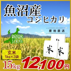 お米 15kg 玄米 魚沼産コシヒカリ (5kg×3袋) 令和5年産 新米   米 最高級銘柄 新潟米 ブランド米 新潟 新潟県産 国内産 人気 おいしい