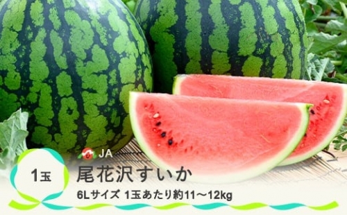 先行予約 尾花沢すいか 6Lサイズ 約11㎏×1玉 8月1日～8月10日頃発送 2024年産 令和6年産 JA ja-su6xx1