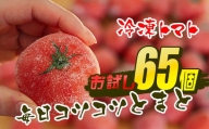 冷凍トマト・65個／約3kg 毎日の料理に使える！