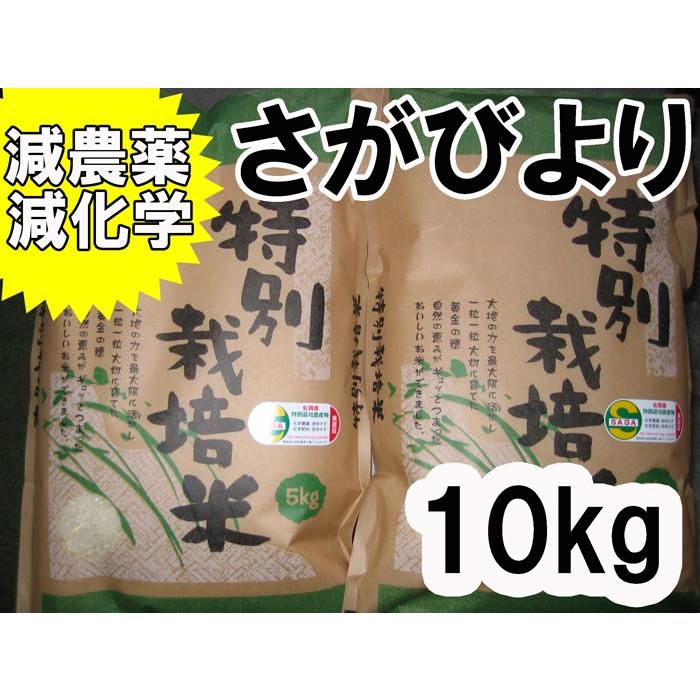 （令和５年産　新米)　佐賀県産　特別栽培米さがびより　白米　１０kg（５ｋｇ×２）