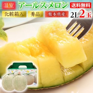 ギフト アールスメロン 秀品 ２L ２玉 熊本県産 温室 送料無料 高級メロン  甘い フルーツの里 産地直送 S常