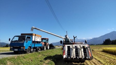 新潟県認証特別栽培米魚沼産しおざわコシヒカリ玄米30kg