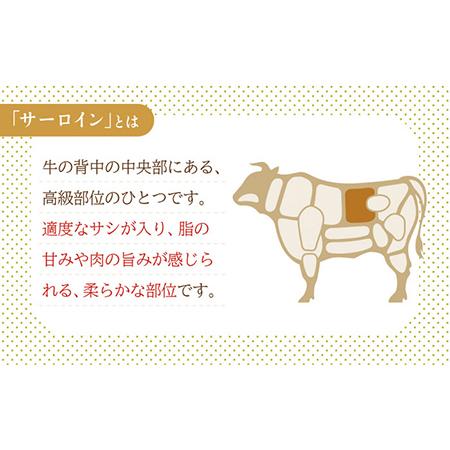 ふるさと納税 特選 平戸和牛 サーロインステーキ 約500g(250g×2枚)[KAD021]  長崎 平戸 肉 牛 牛肉 .. 長崎県平戸市