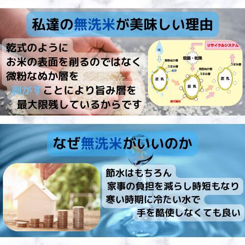 クーポン利用で10％OFF 米 無洗米 5kg 新米 令和5年産 福島県会津産コシヒカリ 5kg(5kg×1袋) 送料無料 米 5kg　厳選米 お試しサイズ