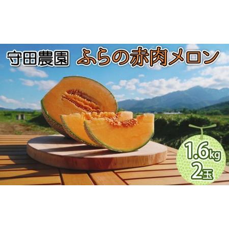 ふるさと納税 北海道 ふらの 赤肉メロン 2玉入り 約1.6kg×2玉 (守田農園) 北海道富良野市