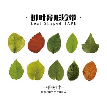 🛒臺灣24h🌳diy仿真樹葉幼兒園手工異性膠帶樹葉貼紙葉子手賬帶背膠相冊自粘