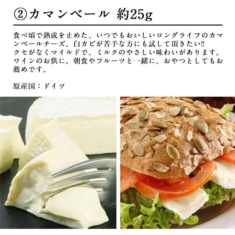 6種チーズプレートコレクション 約150g（約25g×6種）［賞味期限：お届け後10日以上］［冷蔵］