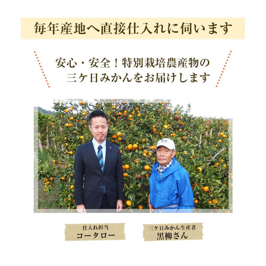 みかん 三ヶ日みかん 静岡県産 5kg 特別栽培農産物 減農薬 化学肥料不使用 訳あり ジュース用 ご家庭用 にんじんジュースにも最適