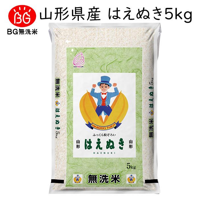 米 2023年度 令和5年度産 5kg 無洗米 はえぬき 山形県産 BG無洗米 東北食糧 送料無料