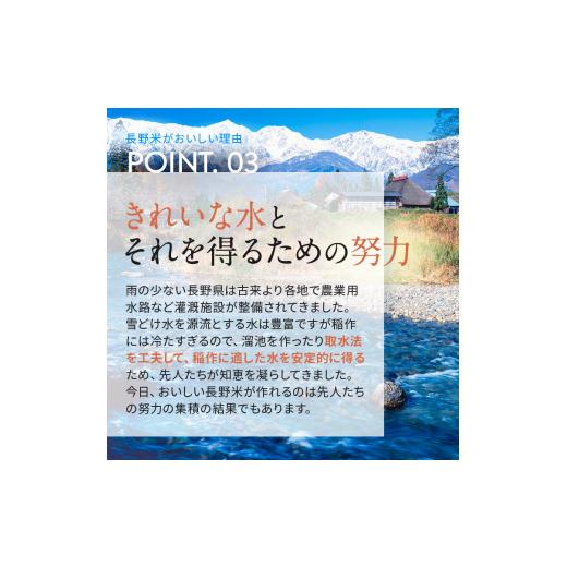 ふるさと納税 長野県 千曲市 信州米 こしひかり 玄米 10kg 長野県産