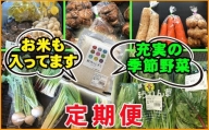 産地直送 季節の野菜とお米 詰め合わせ 3ヶ月 定期便 ／ 野菜 米 セット