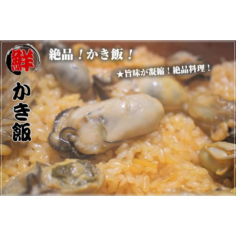 カキえもん(Lサイズ)20個セット 北海道産 牡蠣 カキ 殻付き 生食 お歳暮 ギフト 送料無料