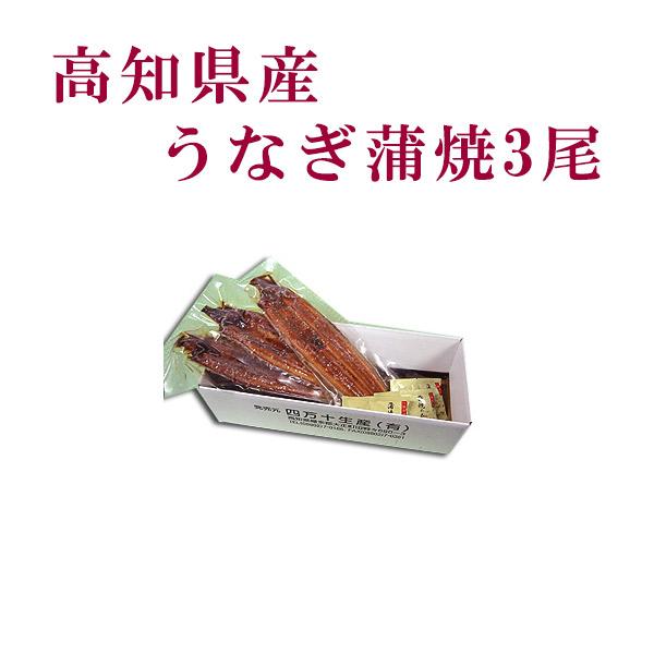 高知県産　うなぎ蒲焼　3尾  四万十 高知 冷凍 国産 無添加 ウナギ 鰻