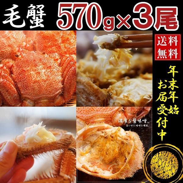 カニ かに 蟹 毛ガニ 毛蟹 3尾 北海道産 570g×3匹セット けがに 毛がに 特大 国産 送料無料 お歳暮 ギフト 高級 海鮮