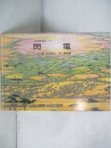 【書寶二手書T2／兒童文學_T22】閃電_吉田遠志文.圖; 鄭明進譯