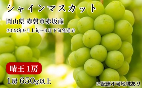 ぶどう 2024年 先行予約 シャイン マスカット 晴王 1房 650g以上 2024年9月上旬～9月下旬発送分 ブドウ 葡萄 岡山県 赤磐市産 国産 フルーツ 果物 ギフト 赤坂青空市