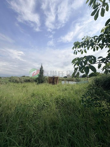 菓林重劃旁帶集貨倉建造美農地、近Ｇ１５ａ、都計內｜桃園市大園區拔子林