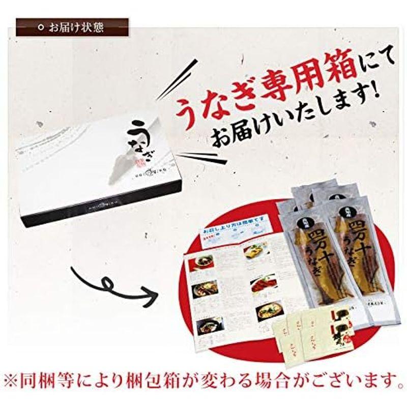 四万十 うなぎ 国産 蒲焼き 特大 200g×2尾 セット ギフト