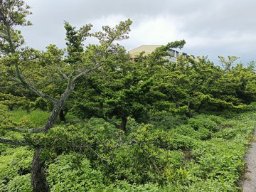 彰化員林埔心470坪農地｜彰化縣埔心鄉仁一路