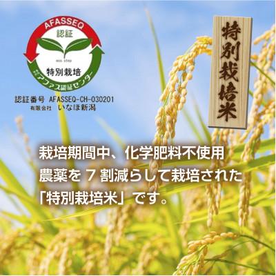 ふるさと納税 南魚沼市 特別栽培米　新潟県南魚沼産 コシヒカリ 塩沢地区 10kg(5kg×2袋) (炊き方ガイド付き)