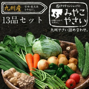 九州野菜13品セット 送料無料 （期間限定：花切り大根プレゼント）九州の美味しい野菜の選りすぐりベストセレクションセット 九