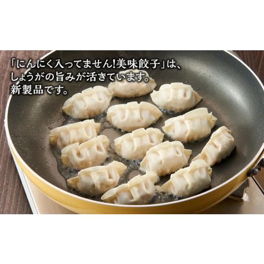 ふるさと納税 福岡県 福岡市 博多一口餃子、にんにく入ってません